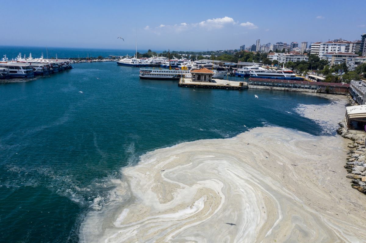 PROF. DR. SARI: “MÜSİLAJ 7 HAFTA İÇİNDE MARMARA’NIN TÜMÜNE YAYILDI”